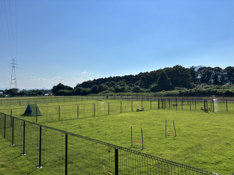 芝屋さんのドッグラン 芝屋でドーナツの写真